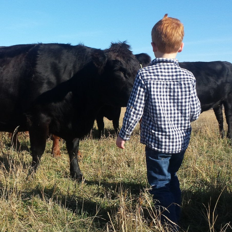 Ranch Tour - Summer Series 2025